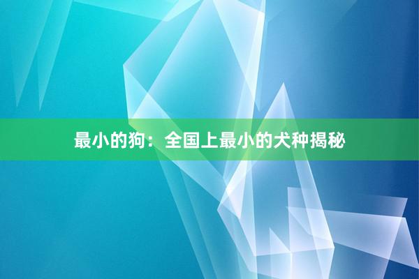 最小的狗：全国上最小的犬种揭秘