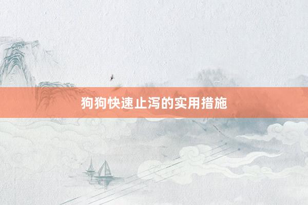 狗狗快速止泻的实用措施