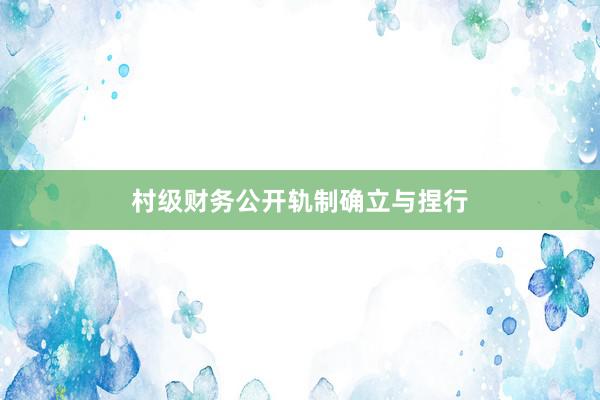 村级财务公开轨制确立与捏行